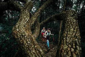 BIB: 
                            <button type="button" onclick="openModal(25699067)" class="btn btn-primary btn-sm float-right btn-popup" data-toggle="modal" data-target=".modal-high-quality">
                        <i class="fas fa-shopping-cart"></i> Add to Cart
                    </button>
                                            <button type="button" onclick="isThisMe(25699067, true)" class="btn btn-success btn-sm float-right btn-popup btn-isme hidden" data-toggle="tooltip" data-placement="bottom" title="นี่คือรูปของคุณใช่ไหม คลิกที่นี่เพื่อเอาเข้าอัลบั้ม">
                        <i class="fas fa-plus"></i> Add to album
                    </button>
                    <button type="button" onclick="isThisMe(25699067, false)" class="btn btn-warning btn-sm float-right btn-popup btn-isnotme hidden">
                        <i class="fas fa-ban"></i> Remove from album
                    </button>